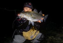 Beginners Guide to Fly Fishing For Striped Bass