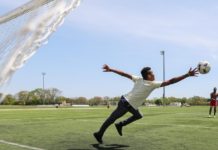 Discover the beauty of Long Island’s state parks