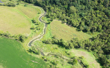 “Fishing a Spring-fed Stream” coming up on Prairie Sportsman