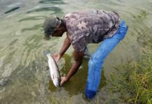 Learning old school fishing in today’s world – Campbell River Mirror
