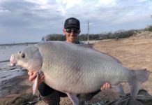 Angler Reels In 60-Pound Smallmouth Buffalo in Texas