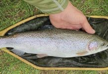 Lower Burrell Flyers to host 2nd annual Fishing Derby along Pucketa Creek