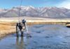 Upper Owens River Still Holds Trophy Trout | Sports