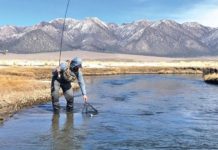 Upper Owens River Still Holds Trophy Trout | Sports