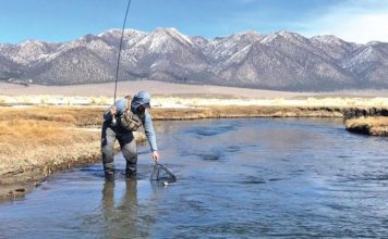 Upper Owens River Still Holds Trophy Trout | Sports