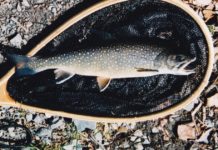 Making your own | Sports