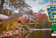 Sunbury resident chosen in statewide photo contest for Pa Fish & Boat Commission | Outdoors