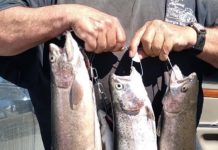 Joe’s Fishing Hole: Prepare your boat for the water | Outdoors