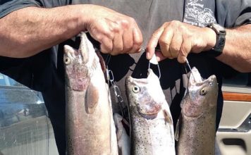 Joe’s Fishing Hole: Prepare your boat for the water | Outdoors