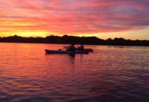 Striped and cinder worms kick off a new fishing season | Arts Entertainment