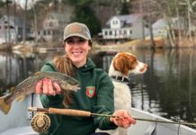 Spring trolling can be a blast, even for ‘snobby’ fly fishers