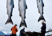 Urban and remote Alaska are where fishing dreams come true
