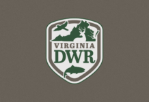 Target Shad with Spin or Fly on the Rappahannock