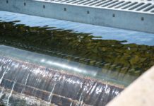 North State fishing report for week of April 15 – Chico Enterprise-Record