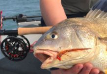 Fly fishing in spotlight at Castapalooza: NE Ohio fishing report