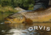 Master-Class Monday: Dry-Dopper Accuracy – Orvis News