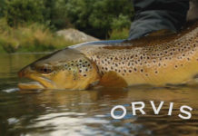 Master-Class Monday: Dry-Dopper Accuracy – Orvis News