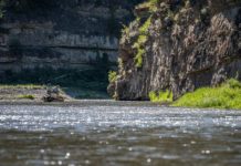 Wednesday Wake-Up Call 04.13.22 – Orvis News