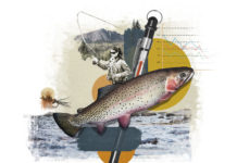 Colorado’s Fly-Fishing Industry Faces the Growing Threat of Climate Change