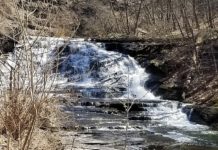 Celebrate The 52nd Annual Earth Day By Investing In Our Planet