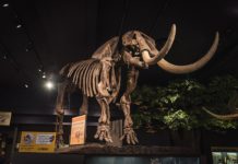 Like to Learn? 3 Upstate NY Museums Among Top 10 in the Nation