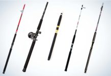 Best Catfish Rods of 2022