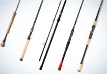 Best fishing rods for 2022