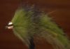 Video: How to Tie the Conehead Bunny Leech
