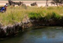 Master Class Monday: How to Catch Trout from Corner Pools