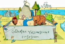 Outdoor Recreation Equals Conservation: Debunking The Myth