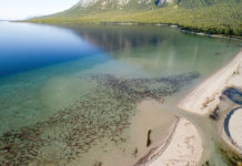 Wednesday Wake-Up Call 04.27.22 