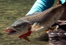 Master Class Monday: How to Fish Mid-Depth Nymphs