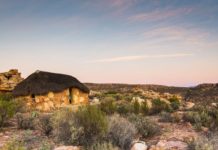 Can’t-Miss South Africa Nature Reserves