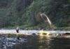 Classic Video: A Steelhead Quest