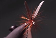 Video: How to Tie a Catskill-Style Ginger Quill