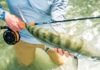Best Saltwater Fly-fishing Gear to Reel in Tough Fish