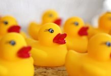 Norwood Recreation Brings Back Spring Events After Two-Year Hiatus