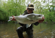 Pro Tips: How to Catch Freshwater Stripers in Spring