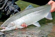 Fishing report: Friday, April 15 – Medford News, Weather, Sports, Breaking News