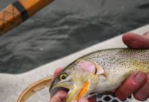 2022-23 Colorado fishing licenses now available