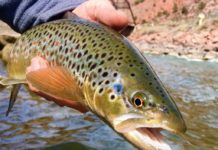 On the Fly: Big changes in the coming weeks