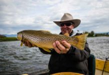 5 Flies for the Mother’s Day Caddis Hatch