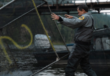 ‘Rock snot’ algae blooms hurting Kootenai River fishery