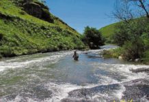 Head upstream for last week of trout fishing season
