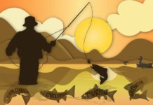 Mpumalanga’s new trout permit policy spawns huge obst…