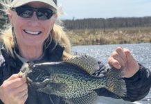 Anderson: Walleyes are tasty — but crappies and sunnies are more fun