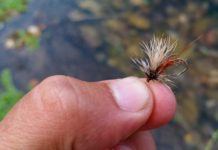 How to make your own killer fly | Hatch Magazine