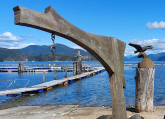 Getting ready in May for a fun-filled fishing experience – Campbell River Mirror