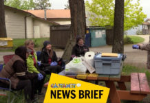 Women gather at Camp Winfield for a weekend of outdoors training and confidence-building – Kelowna News