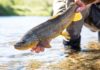 12 keys to becoming a great fly angler | Hatch Magazine